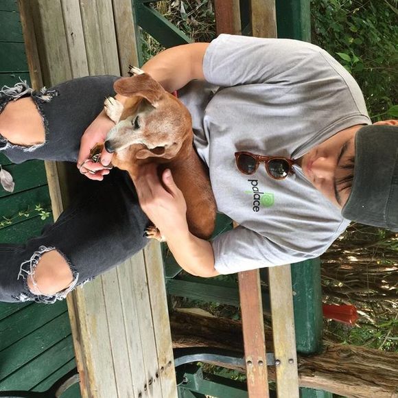 Meet your Posher, Lawrence - Picture 1 of 1